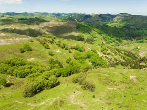  Kanakanaia Road, Te Karaka