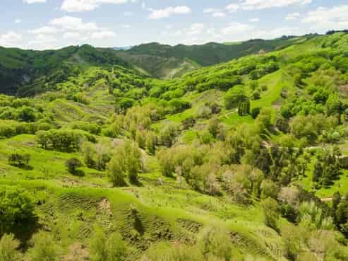  Kanakanaia Road, Te Karaka