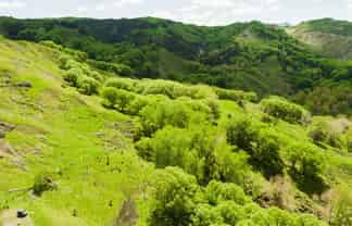  Kanakanaia Road, Te Karaka