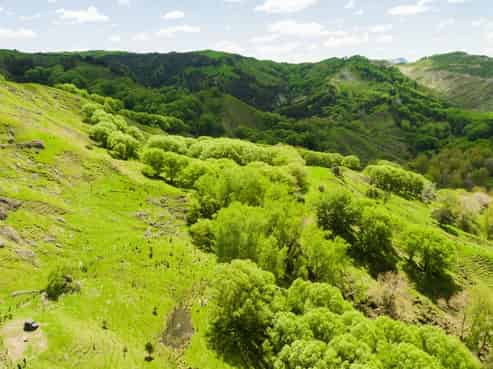  Kanakanaia Road, Te Karaka