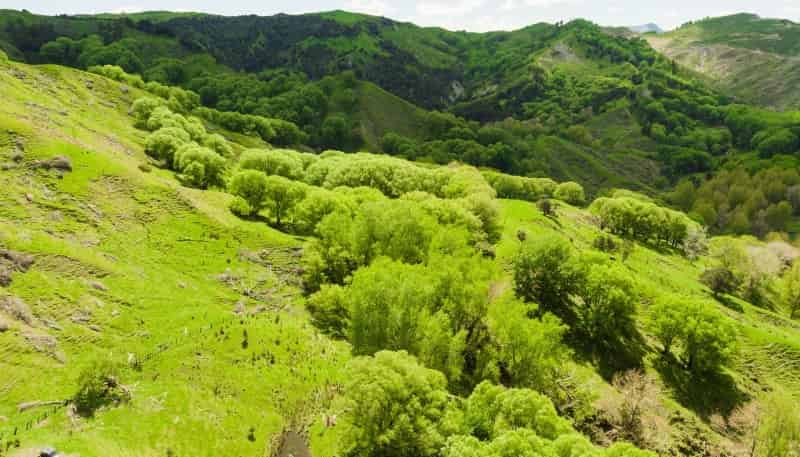  Kanakanaia Road, Te Karaka