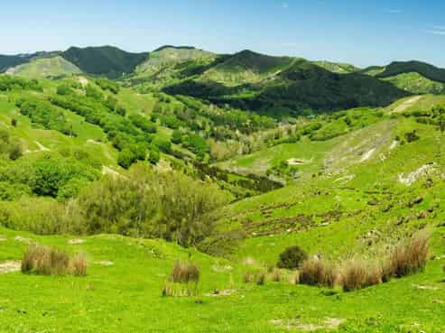  Kanakanaia Road, Te Karaka