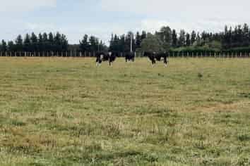 22 Heatherlie Road, Feilding
