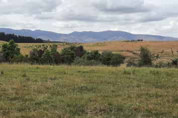 22 Heatherlie Road, Feilding