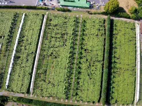 109 Springfield Road, Taradale