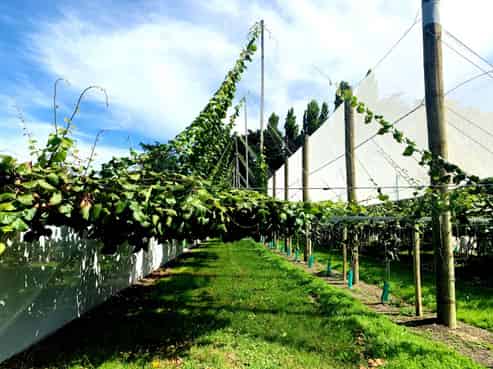 109 Springfield Road, Taradale