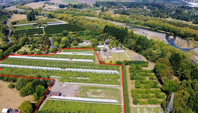 109 Springfield Road, Taradale