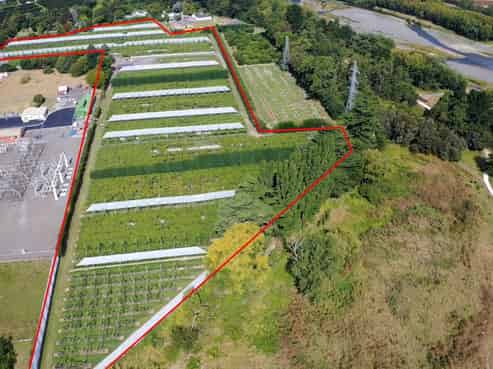 109 Springfield Road, Taradale