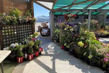 BUSINESS FOR SALE-BLENHEIM NURSERY & GARDEN CENTRE