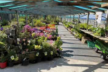 BUSINESS FOR SALE-BLENHEIM NURSERY & GARDEN CENTRE