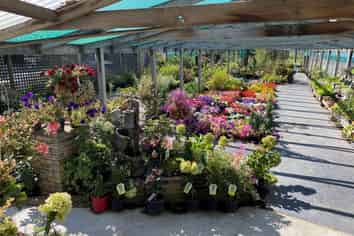 BUSINESS FOR SALE-BLENHEIM NURSERY & GARDEN CENTRE