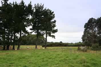 Lots 2,3,4 Dipton Street, Kingswell