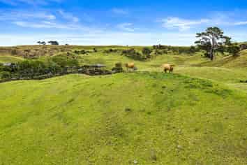 1315 South Head Road, South Head