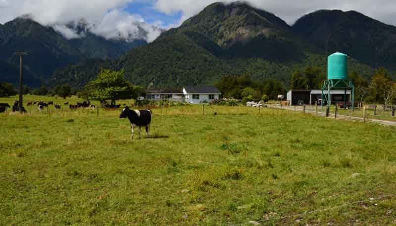 1861 Whataroa Highway, Whataroa