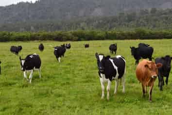 1861 Whataroa Highway, Whataroa