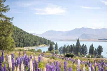 Lot 12 1 Lakeside Drive, Lake Tekapo, Lake Tekapo