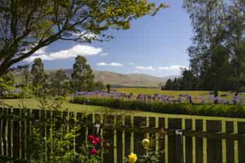 302 Tara Hill Road, Waimate