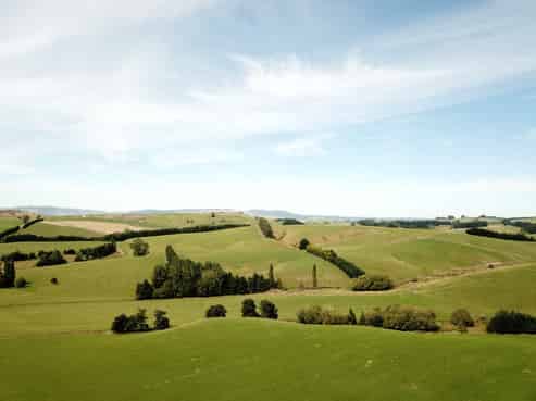 269 Falla Burn Road, Milton