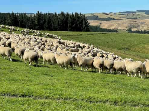 269 Falla Burn Road, Milton