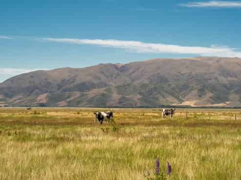  Riverview Downs, Omarama-Lindis Pass Road, Omarama