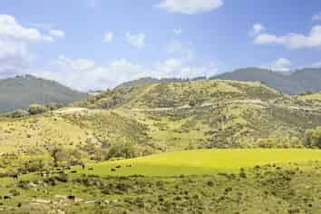 415 Upper Hook Road, Waimate