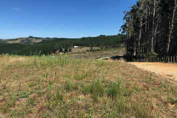 Lot 2 Martin Access Road, Makarau