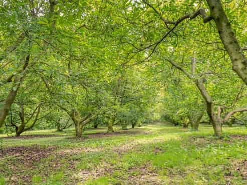 49 Lindemann Road, Katikati