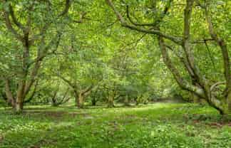 49 Lindemann Road, Katikati