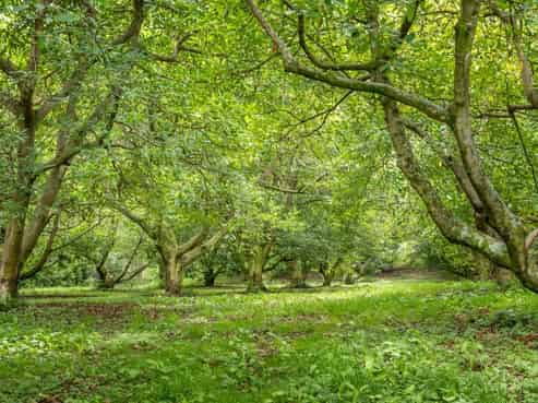 49 Lindemann Road, Katikati