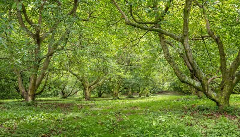 49 Lindemann Road, Katikati