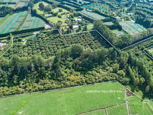 49 Lindemann Road, Katikati