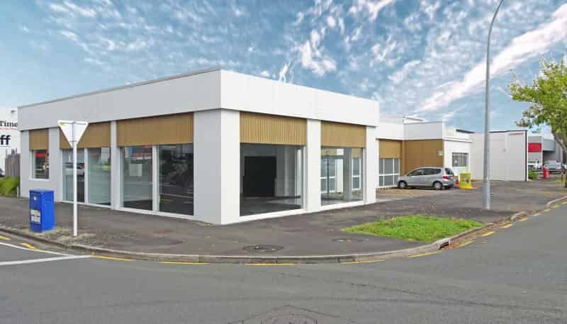 76 Rostrevor Street Central, Hamilton Central