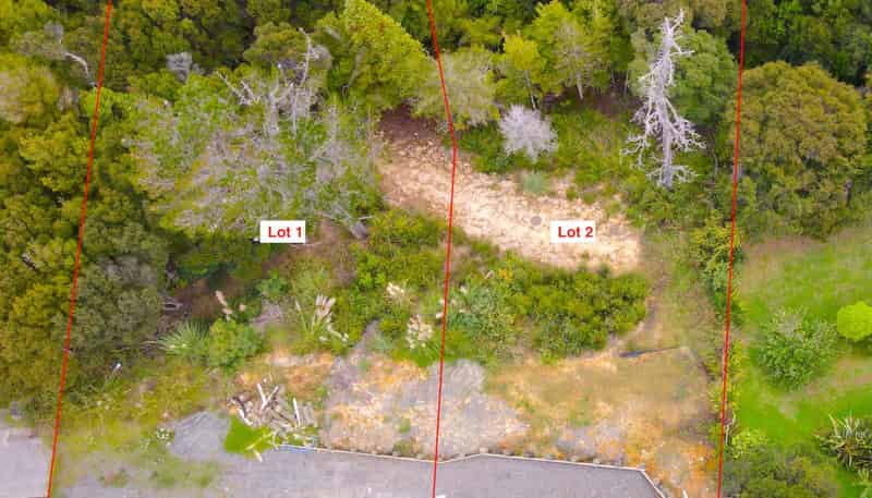 Lot 1/77 Onetaunga Road, Chatswood