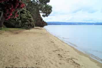 9 Barbados Way, One Tree Point