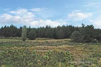 222 Lower Styx Road, Marshland