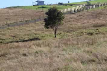 Kerr Road, Parua Bay