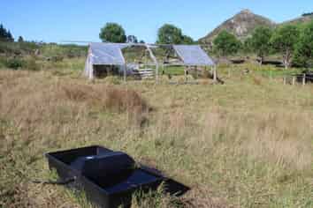  Kerr Road, Parua Bay