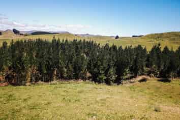 Lot 3 Smiths Road, Ohakune