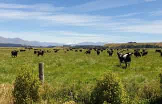 324 Luggate-Tarras Road, Luggate