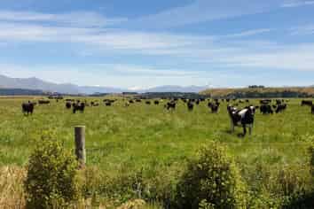 324 Luggate-Tarras Road, Luggate