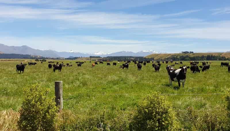 324 Luggate-Tarras Road, Luggate