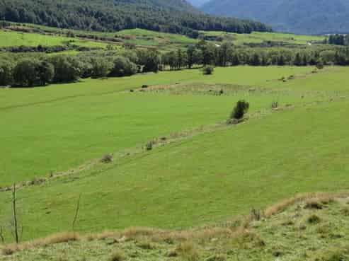  Shenandoah Highway, Murchison