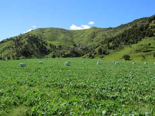  Shenandoah Highway, Murchison