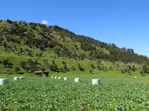  Shenandoah Highway, Murchison