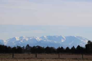 Lot 12, 170 Racecourse Road, Allenton