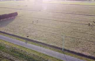 Lot 12, 170 Racecourse Road, Allenton