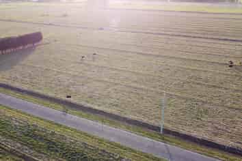 Lot 12, 170 Racecourse Road, Allenton