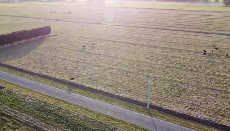 Lot 12, 170 Racecourse Road, Allenton