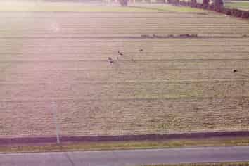 Lot 12, 170 Racecourse Road, Allenton