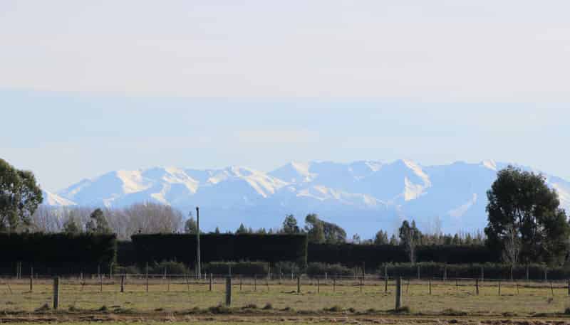 Lot 14, 170 Racecourse Road, Allenton